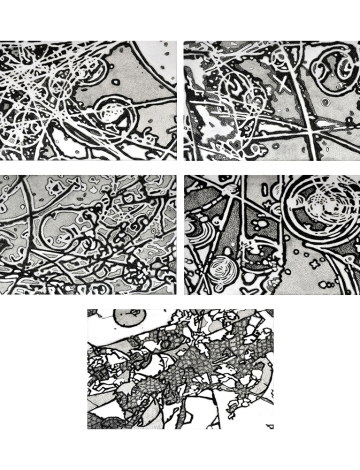 Entangled Reality Series