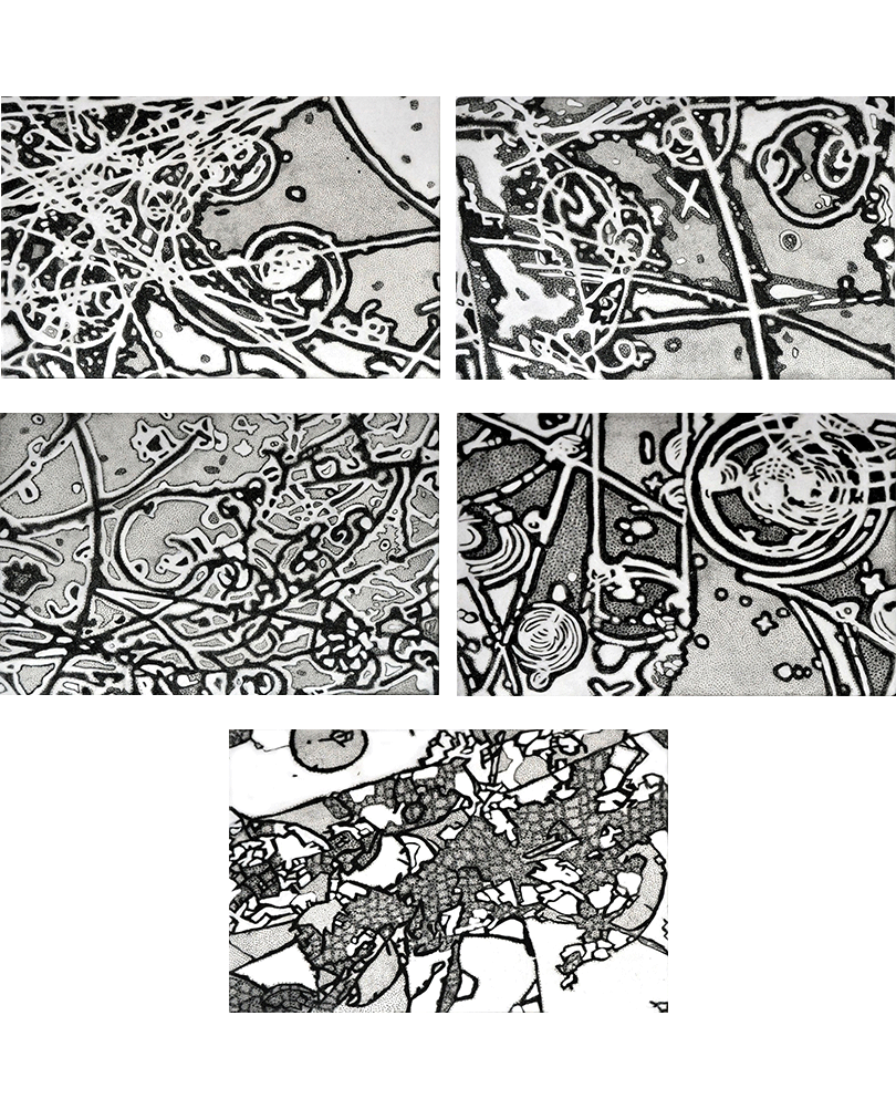 Entangled Reality Series