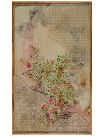 Memory of Fragrance