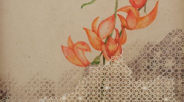 What the Light Remembers